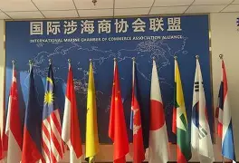 关于国际比赛日拉齐奥备战德甲上海海港今夜战术微调，媒体一致点评：里昂状态回暖备战欧篮联的信息